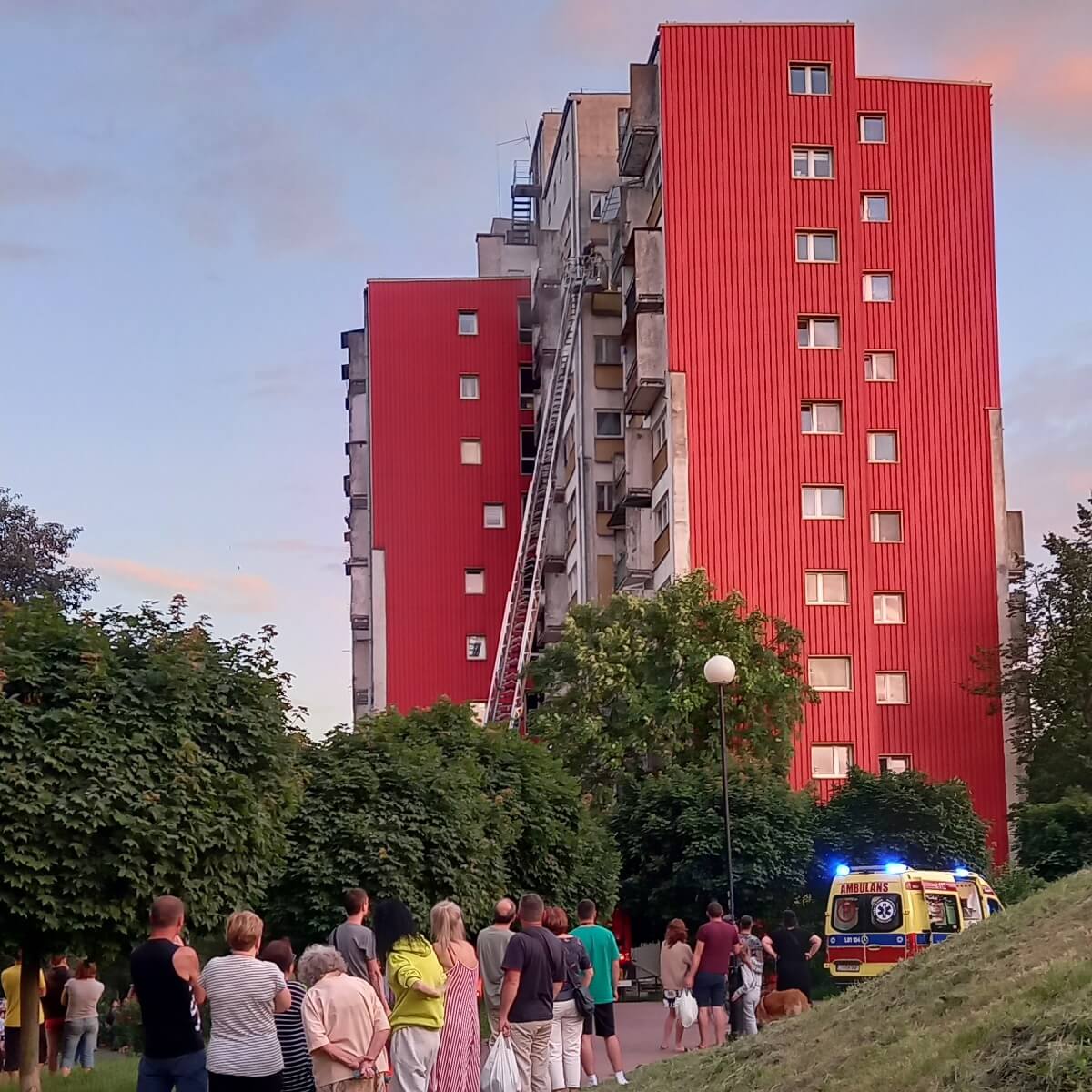 Pożar w mieszkaniu na 9. piętrze. W środku znaleziono martwe zwierzęta 1 Pożar mieszkania w bloku przy ul. Wileńskiej