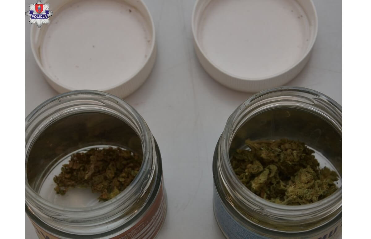 Posiadał marihuanę, z której można byłoby wykonać 290 porcji dilerskich 1 Marihuana