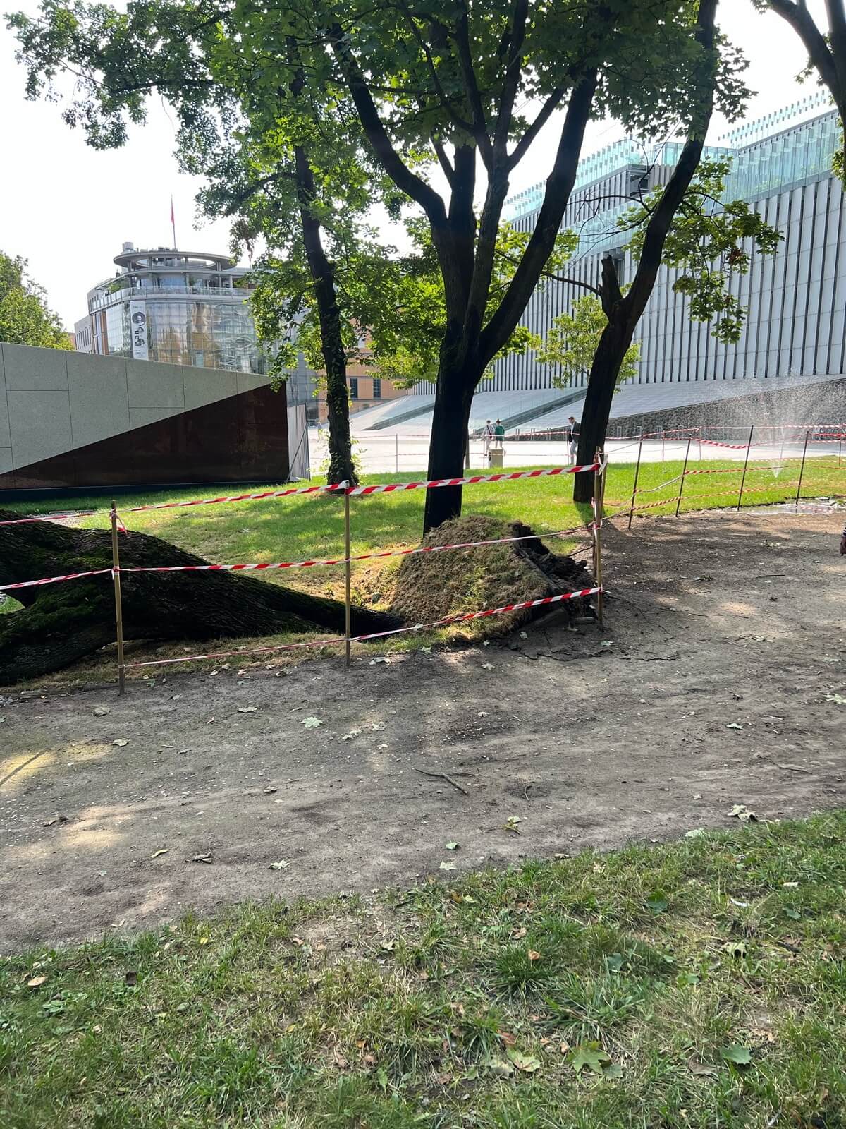 Piesi uciekali przed walącym się drzewem w centrum Lublina. Nie ma przejścia 3 Drzewo runęło na chodnik i ścieżkę rowerową przy Centrum Spotkania Kultur