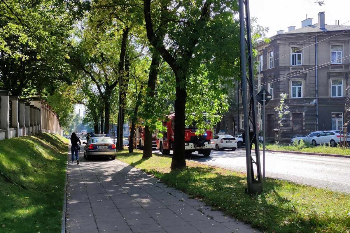 Strażacy interweniowali do pochylonego drzewa. Oparło się na słupie i trakcji trolejbusowej 1 Strażacy interweniujący do pochylonego drzewa nad ul. Wyszyńskiego w Lublinie