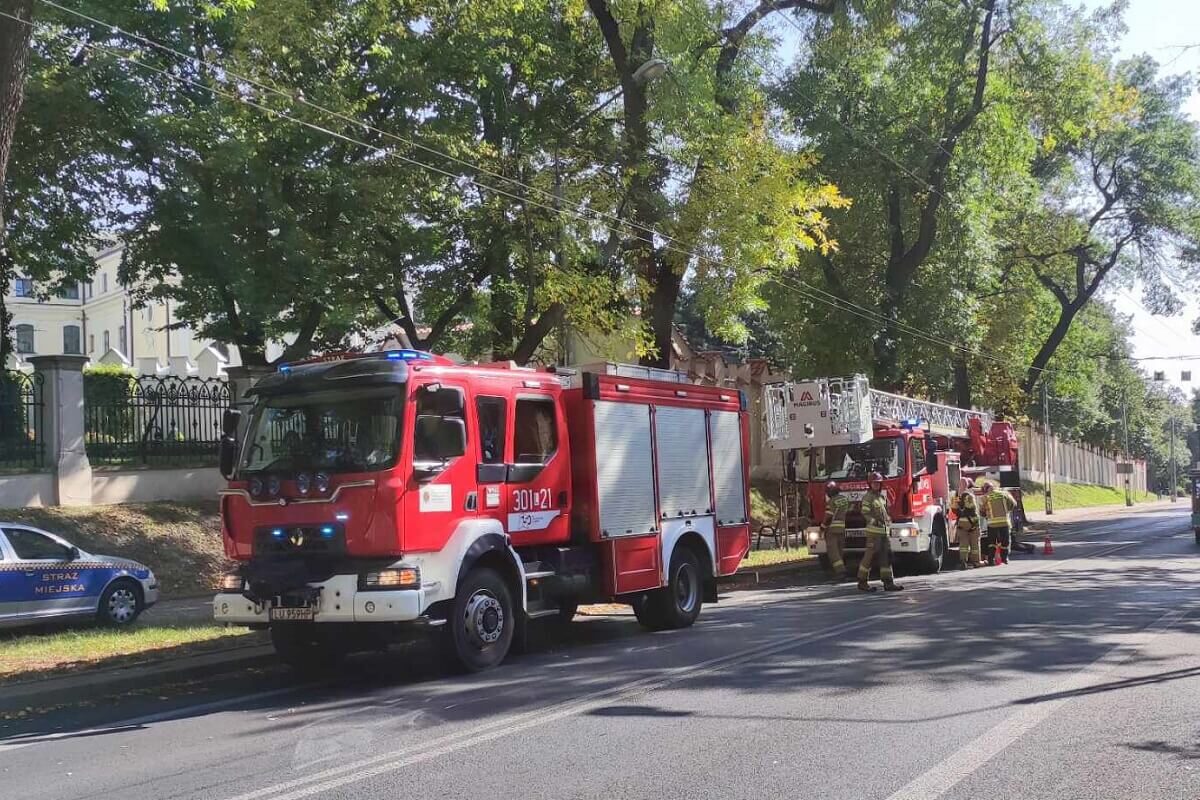Strażacy interweniowali do pochylonego drzewa. Oparło się na słupie i trakcji trolejbusowej 2 Strażacy interweniujący do pochylonego drzewa nad ul. Wyszyńskiego w Lublinie
