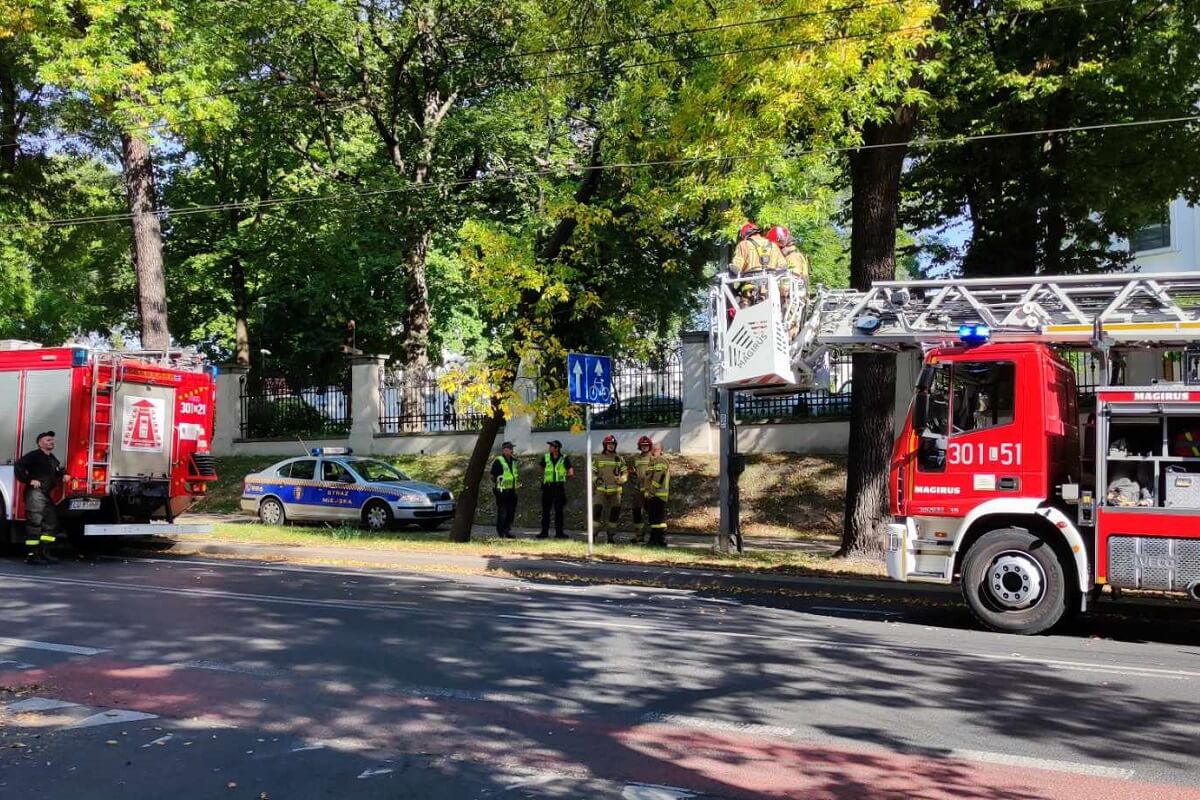 Strażacy interweniowali do pochylonego drzewa. Oparło się na słupie i trakcji trolejbusowej 4 Strażacy interweniujący do pochylonego drzewa nad ul. Wyszyńskiego w Lublinie