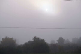 mgla pokrywajaca drzewa slonce swieci w tle