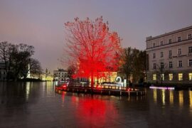 Podswietlony na kolor czerwony nowy Baobab