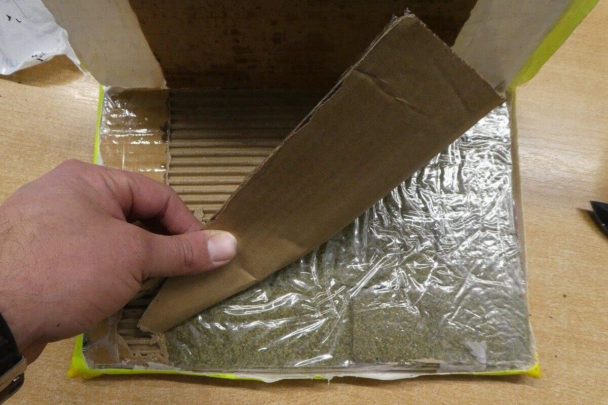 Blisko 1 kg marihuany w przesyłkach pocztowych. Paczki nie trafią do odbiorców 2 Marihuana w przesyłce pocztowej