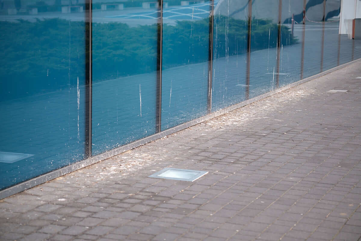 Zanieczyszczona gołębimi odchodami kostka przy Aqua Lublin