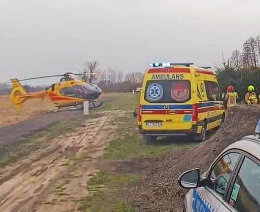 Śmierć przy wycince drzew. Interweniował helikopter LPR. Kobiety nie udało się uratować 1 Nieszczęśliwy wypadek przy wycince drzew