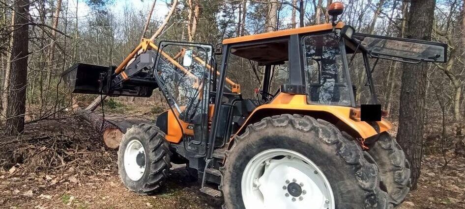 Wypadek śmiertelny przy wycince drzew. Mężczyzna zmarł po tym jak przygniótł go pien drzewa 1 Wypadek w lesie ze skutkiem śmiertelnym