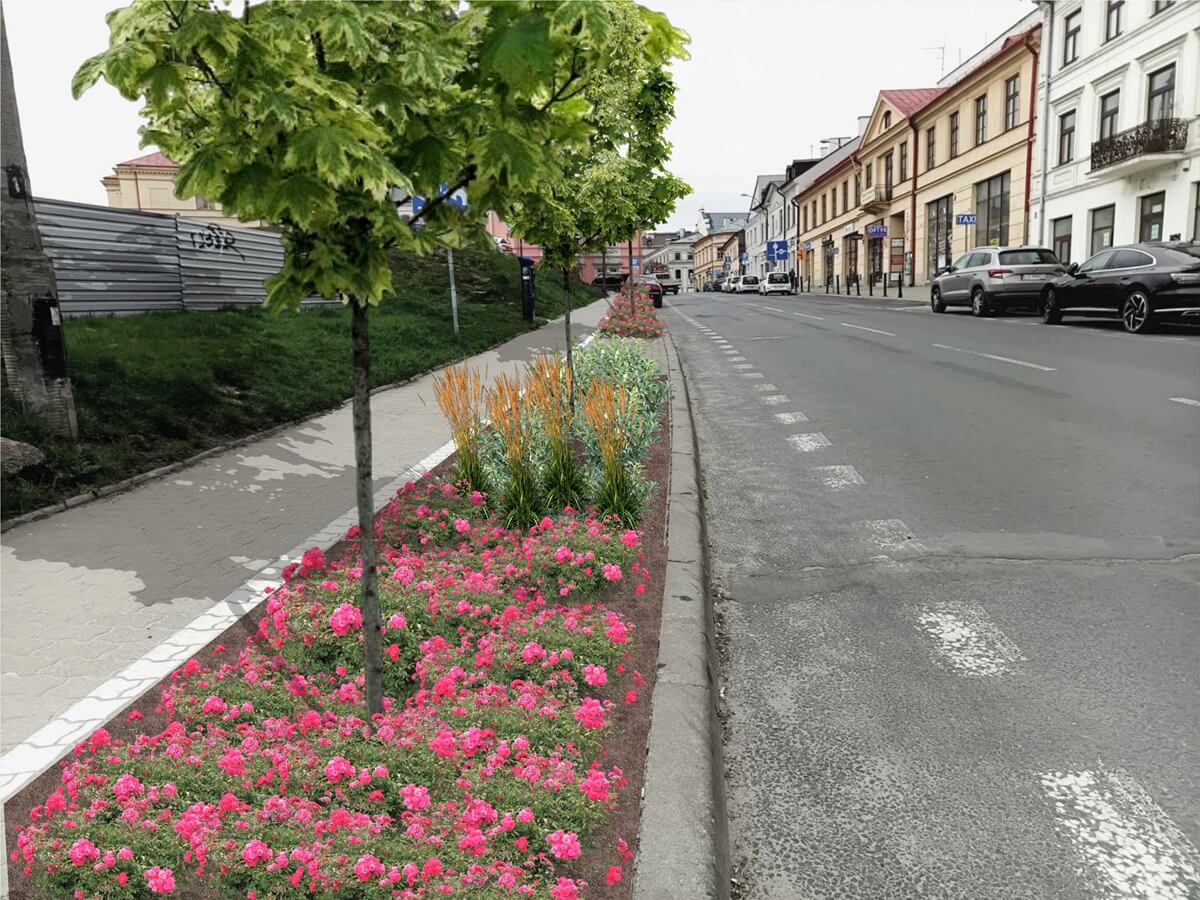 Duże zmiany w centrum Lublina. Miejsca parkingowe przeniosą na jezdnię, będą nowe drzewa, krzewy ozdobne i kwiaty 1 Wizualizacja ul. Świętoduskiej z nasadzeniami - klony, róże, irgi i trzcinniki