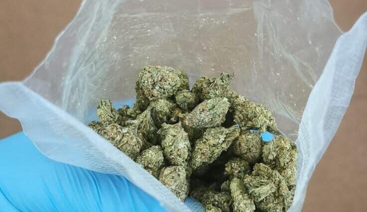 Marihuana w BMW: 22-latek zatrzymany przez policję 1 Narkotyki w kontrolowanym BMW