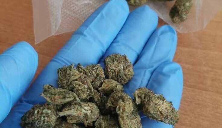 Marihuana w BMW: 22-latek zatrzymany przez policję 2 Narkotyki w BMW