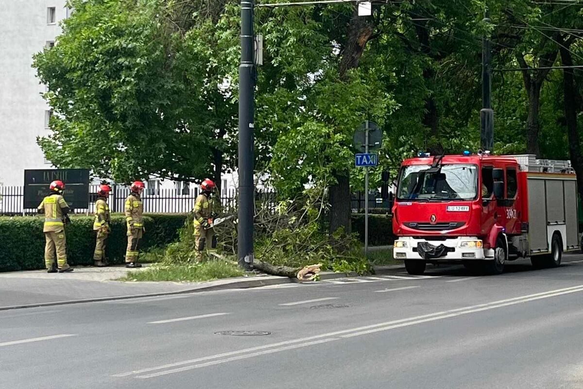 W Lublinie konar oderwał się z drzewa i spadł na chodnik. Na miejscu są już strażacy 1 Konar spadł na chodnik na ul. Obywatelskiej