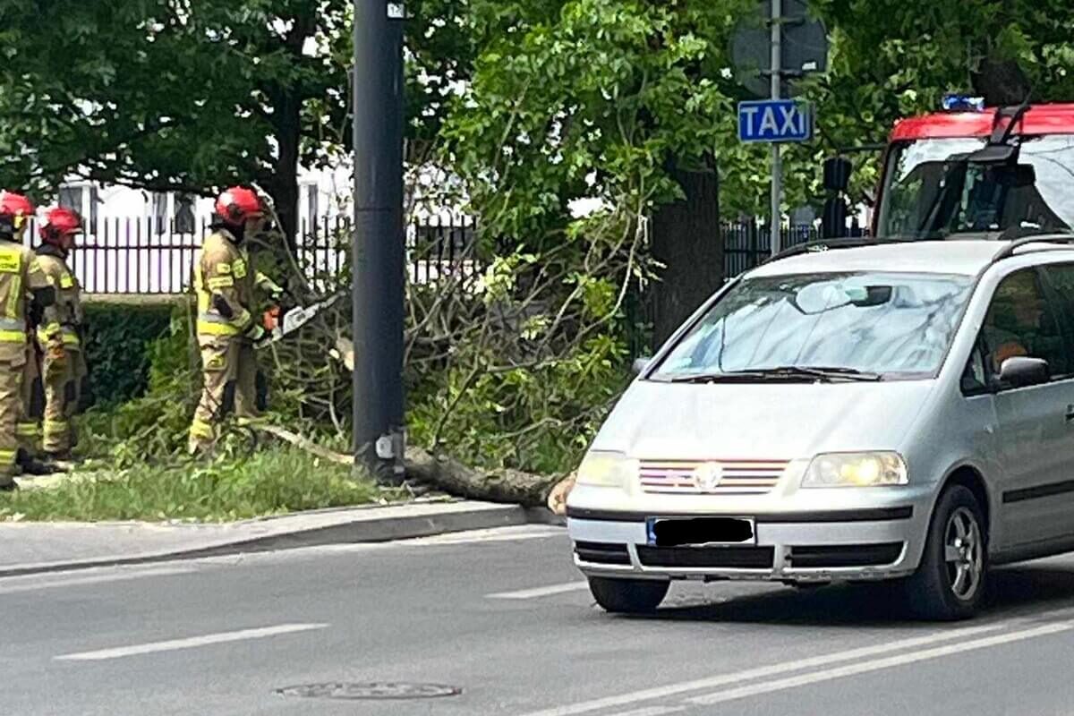 W Lublinie konar oderwał się z drzewa i spadł na chodnik. Na miejscu są już strażacy 2 Konar spadł na chodnik na ul. Obywatelskiej