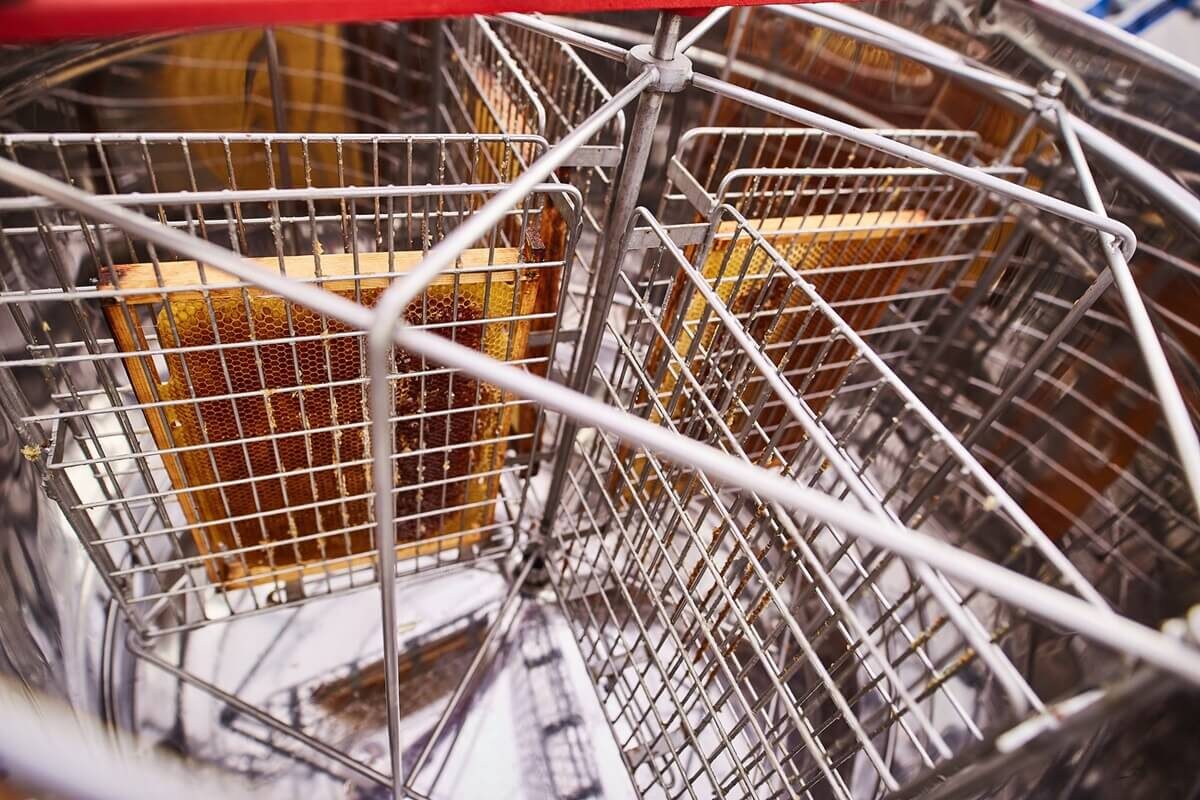 Popularna galeria handlowa rozdaje miód z własnej pasieki. Jest jeden warunek 3 Miodobranie na dachu VIVO Lublin