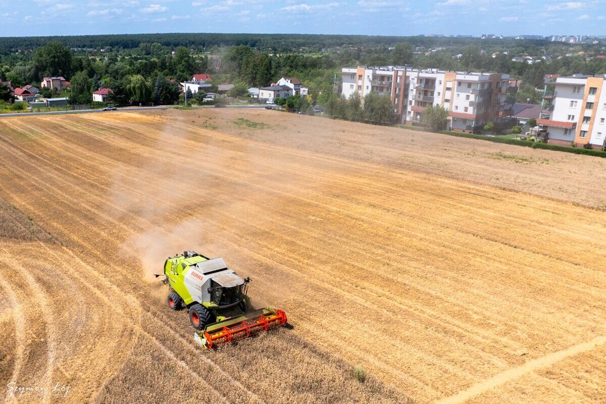 Aż się kurzy! Żniwa pomiędzy blokami na Wrotkowie. Zobacz zdjęcia z drona 3 Żniwa na polu pomiędzy blokami przy ul. Nałkowskich w Lublinie