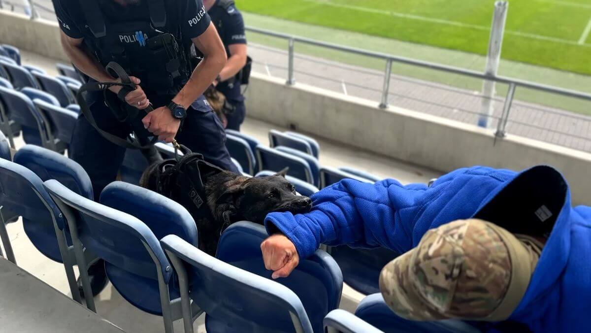 Szkolenie policyjnych psów na Arenie Lublin. Saget, Skil, Sadar, Saldo, Saber i Szeld wspierają lubelską policję 2 szkolenie policyjnych psów