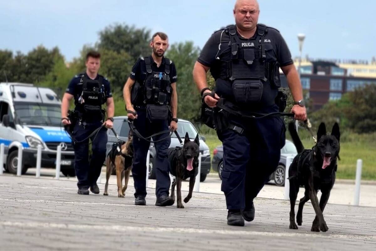 Szkolenie policyjnych psów na Arenie Lublin. Saget, Skil, Sadar, Saldo, Saber i Szeld wspierają lubelską policję 1 szkolenie, psy policyjne