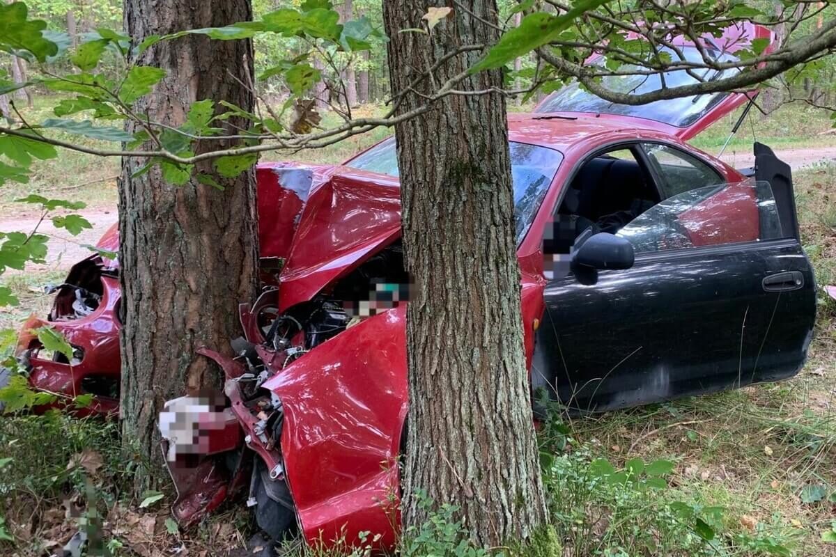 Toyota rozbita na drzewie w lesie