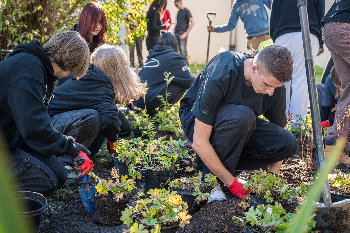 Nowe ogrody deszczowe w Lublinie – zielone przestrzenie dla miasta i klimatu 1 Ogród deszczowy Lublin - nasadzenia