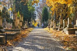 cmentarz przy ul lipowej