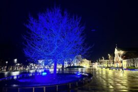 Plac Litewski podswietlony na niebiesko