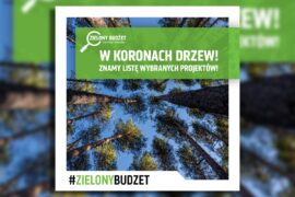 Zielony Budzet 2025 rozstrzygniety