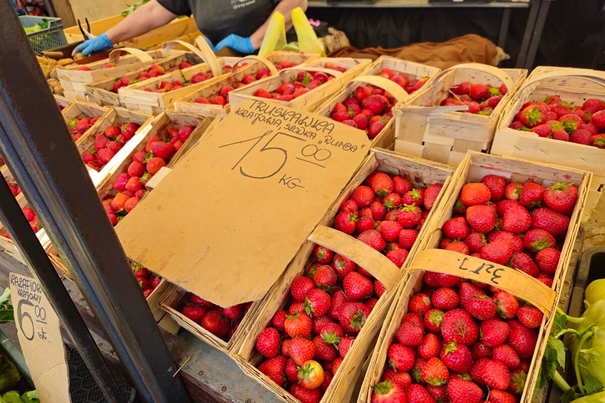 Ceny truskawek coraz przystępniejsze dla portfela. Sprawdź, ile teraz kosztują na targu - zdjęcia (26.05.2025) 3 Truskawki po 15 zł/kg