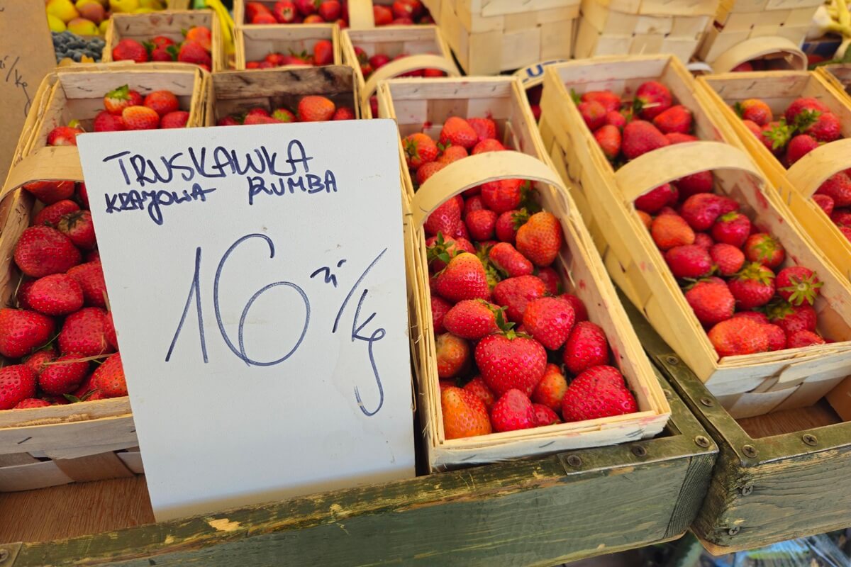 Ceny truskawek coraz przystępniejsze dla portfela. Sprawdź, ile teraz kosztują na targu - zdjęcia (26.05.2025) 2 Truskawki po 16 zł/kg