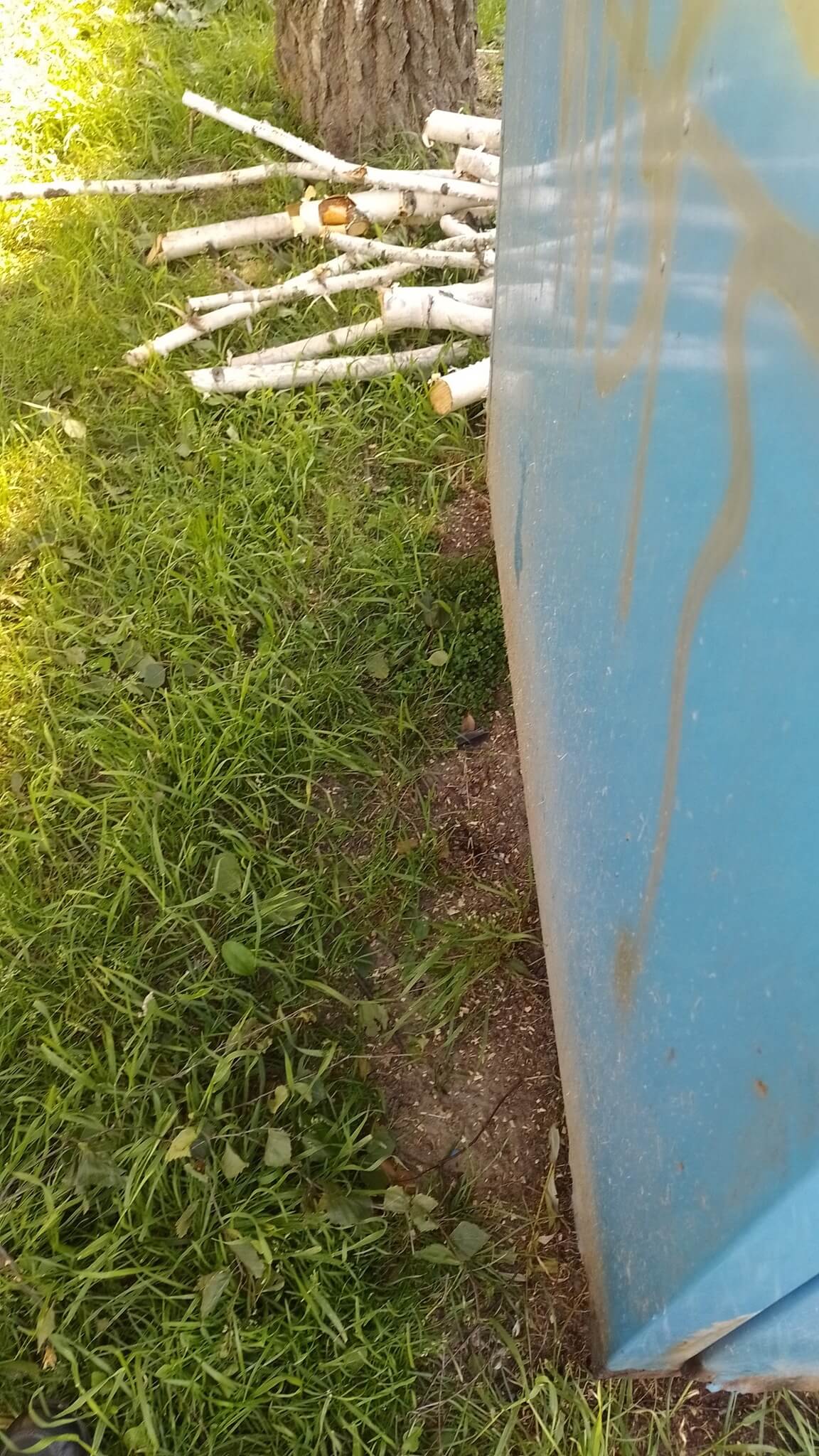 Gwoździe, drut i kawałki metalu w mięsie rozrzuconym na trawniku. Mieszkaniec ostrzega właścicieli psów (zdjęcia) 3 Mięso nafaszerowane gwoździem i kawałkiem metalu