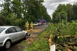 drzewo przewrocilo sie na jadacy samochod 21bbd0a08084