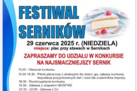 festiwal sernikow w sernikach 2025 15be7b8b50b9