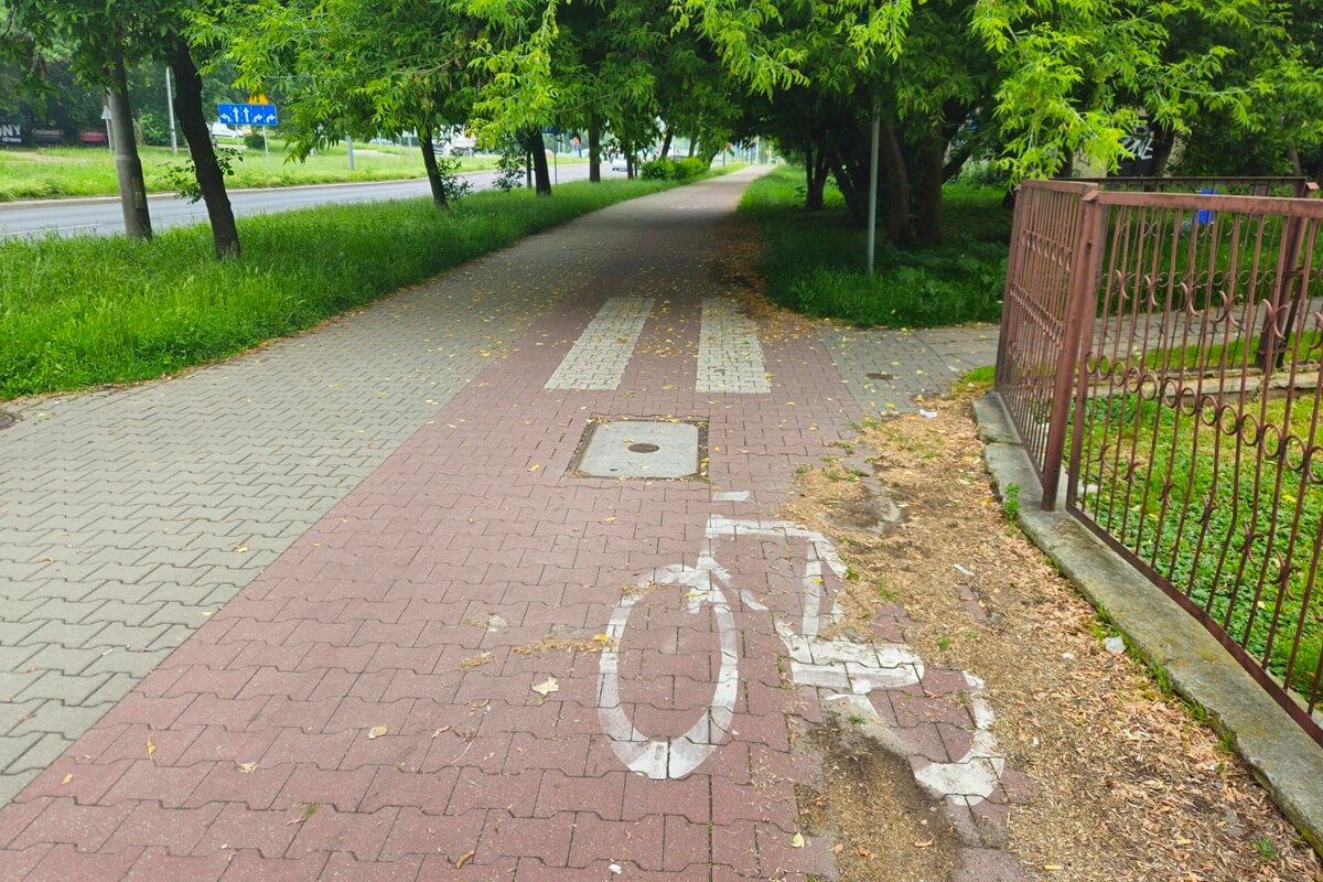 Chwila nieuwagi i możesz zostać zmieciony z roweru lub hulajnogi (zdjęcia) 3 Gałęzie opadające na ścieżkę rowerową na al. Andersa