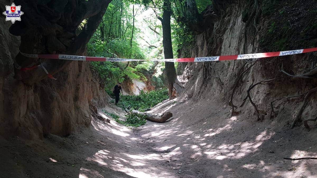 Groźny incydent w Kazimierzu Dolnym. Konar spadł na wycieczkę szkolną, są poszkodowani (zdjęcia) 3 Konar spadł na wycieczkę szkolną w wąwozie w Kazimierzu Dolnym