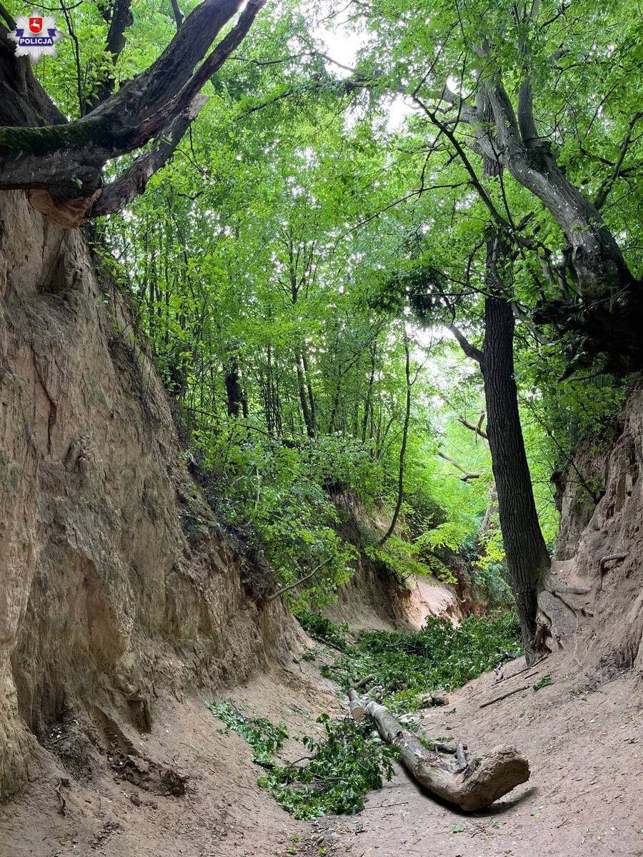 Groźny incydent w Kazimierzu Dolnym. Konar spadł na wycieczkę szkolną, są poszkodowani (zdjęcia) 4 Konar spadł na wycieczkę szkolną w wąwozie w Kazimierzu Dolnym