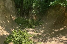konar spadl na wycieczke szkolna w wawozie w kazimierzu dolnym 7def5b567beb