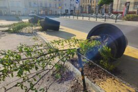 przewrocone donice z drzewami na ul bajkowskiego 5f9d8f8c8a74