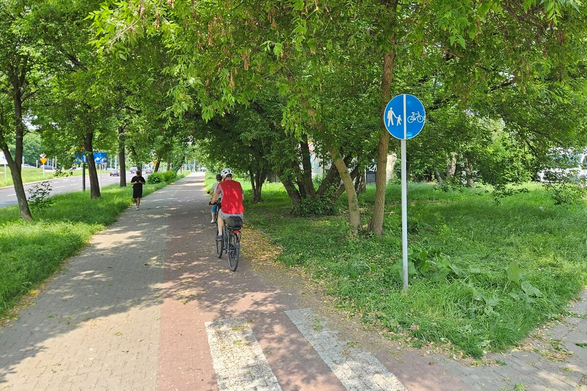 Chwila nieuwagi i możesz zostać zmieciony z roweru lub hulajnogi (zdjęcia) 5 Przycięte gałęzie nad ścieżką rowerową na al. Andersa po naszej interwencji
