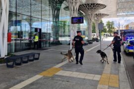 policjanci z psami na dworcu lublin b556640cf7ec