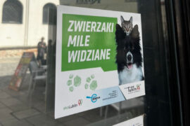 naklejka zwierzaki mile widziane 65fa128ce018