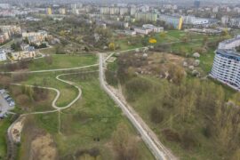 chodnik i sciezka rowerowa w parku rury d0ed1c303ae5