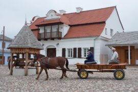 przejazdzka wozem po terenie muzeum wsi lubelskiej 690f5627496b