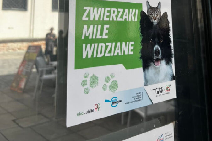 Zwierzaki mile widziane I e1270cff404d