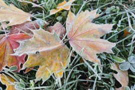 Podczas zmiany pasa ruchu na skrzyżowaniu nie zauważyła motocyklisty (zdjęcia) 2 jesienny przymrozek f7f161a5dc6c