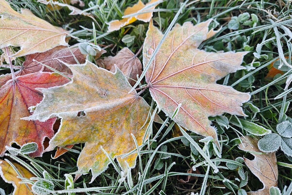 Nadchodzi chłodny piątek! IMGW ostrzega przed przymrozkami w woj. lubelskim