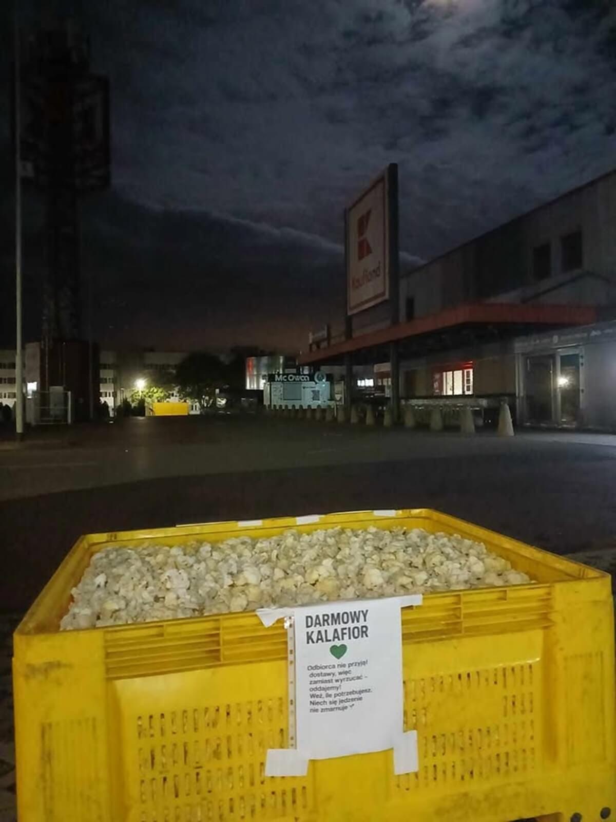 Rolnicy rozdali kalafior za darmo