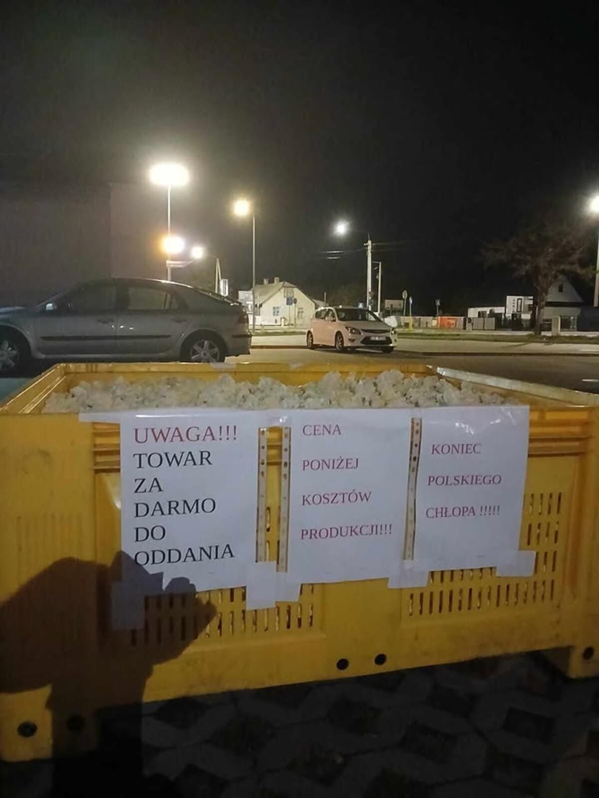 Rolnicy rozdali kalafior za darmo
