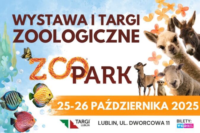 zoopark 1200x800 1 fbab87e8a76e