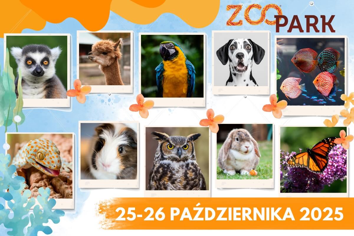 ZOOPARK jesień 2025 – świat zwierząt w sercu Lublina! 1 ZOOPARK