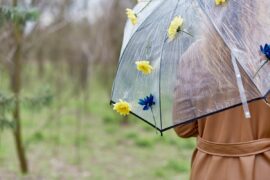 AdobeStock 1002561209 e680c11bafa3