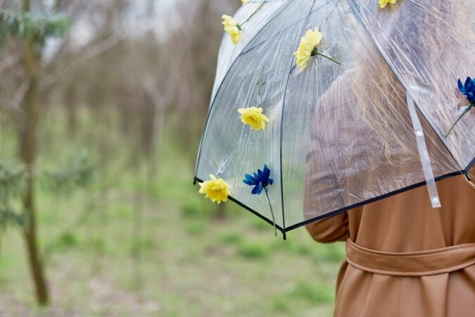 AdobeStock 1002561209 e680c11bafa3